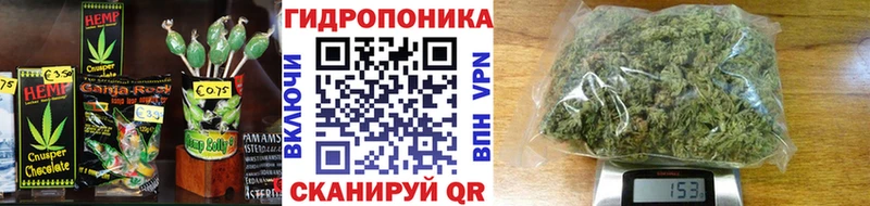 mega ТОР  где купить наркоту  Будённовск  Cannafood конопля 