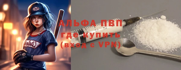 трава Белокуриха