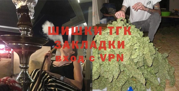 трава Белокуриха
