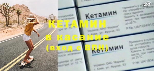 трава Белокуриха
