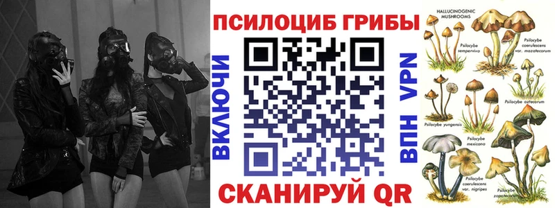 Псилоцибиновые грибы GOLDEN TEACHER  купить наркотик  KRAKEN зеркало  Будённовск 